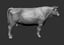 3D bull