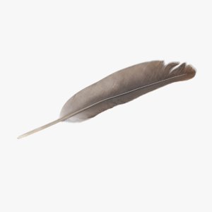 feather 3D