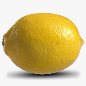 lemon fruit 3D model