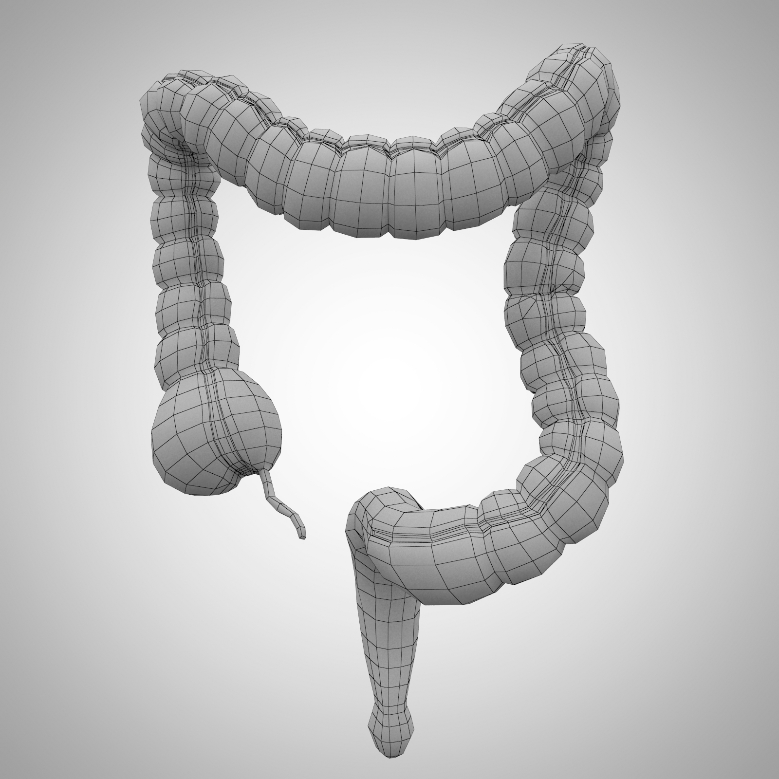 3D model human large intestine - TurboSquid 1175159