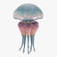 3 jellyfish 3D model