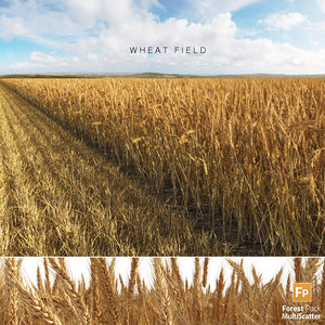 wheat field 3D model