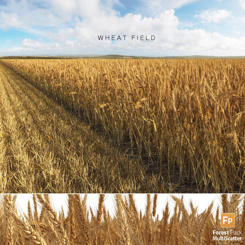 Wheat field 3D model - TurboSquid 1175816