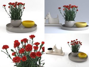 3D model carnations 01
