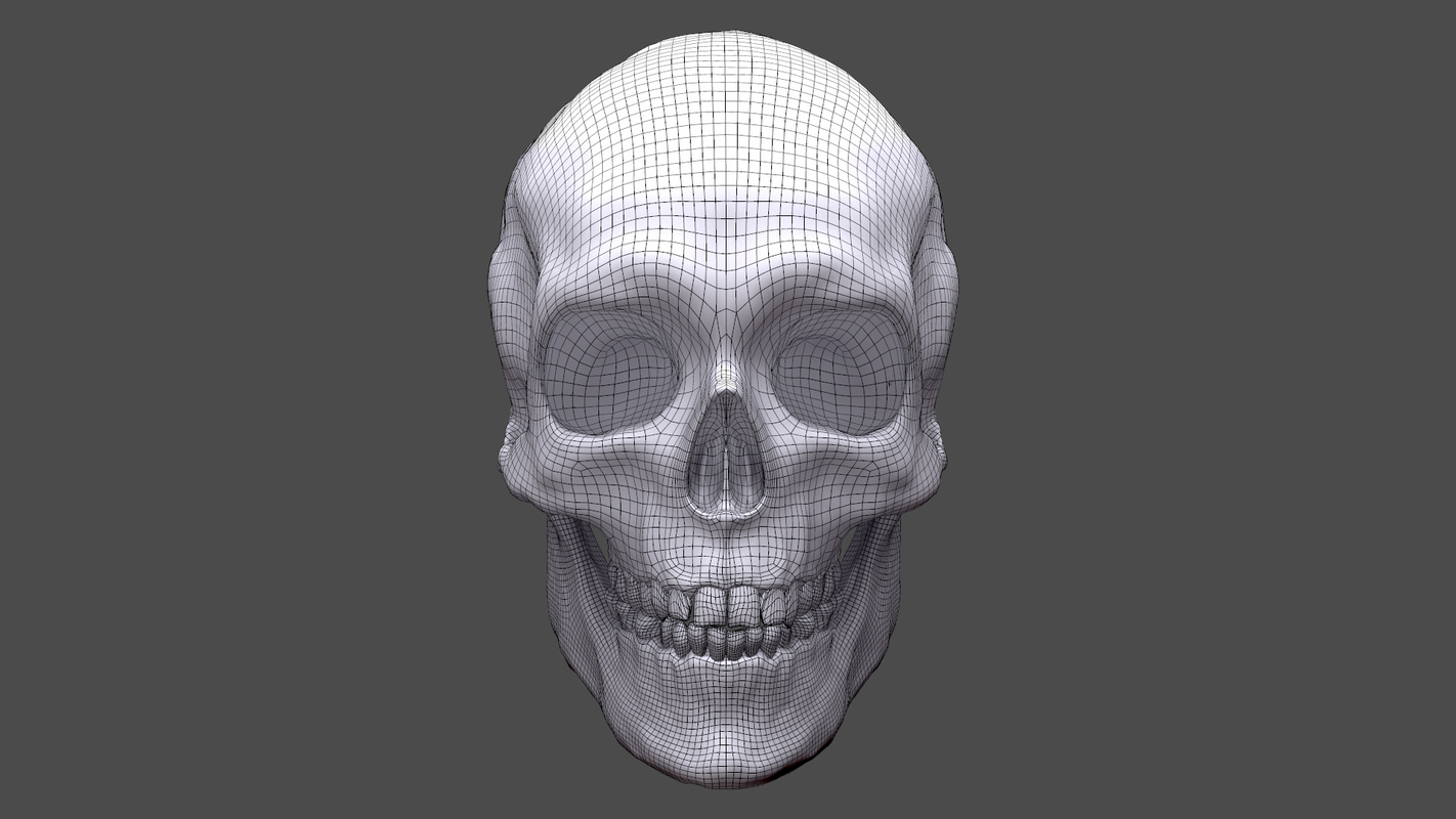 Human skull head 3D model - TurboSquid 1176363