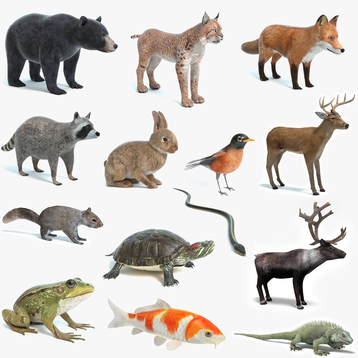 Realistic animals 3D model - TurboSquid 1176755