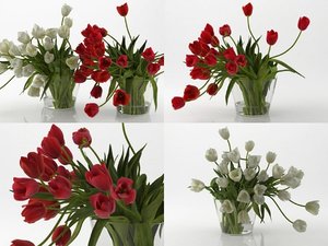 tulips 01 3D model