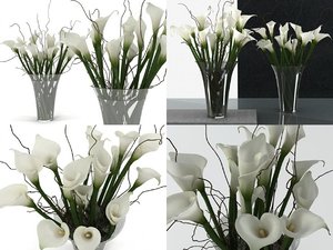 3D model calla lily