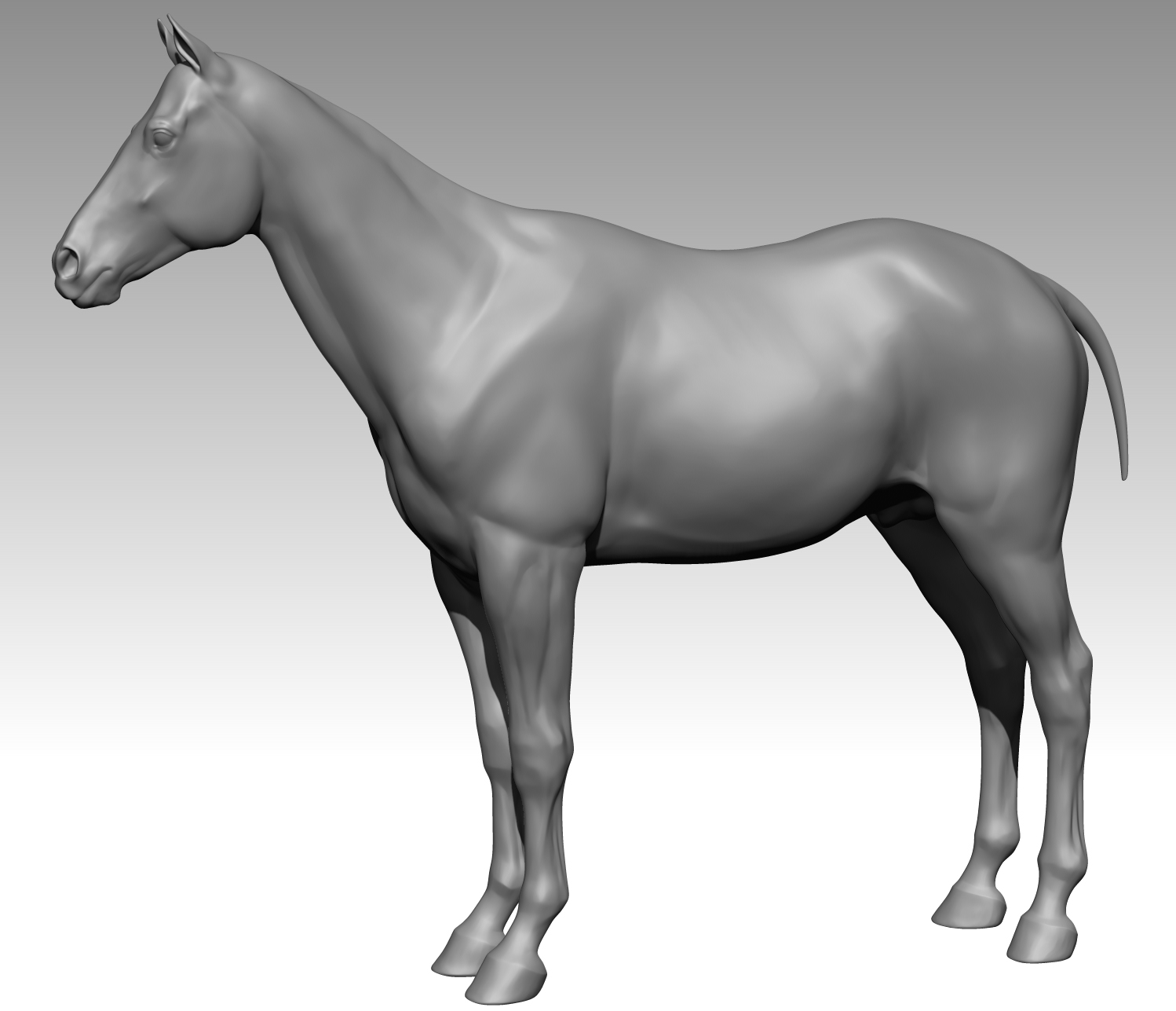 free zbrush horse model
