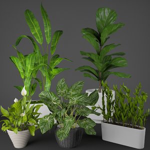 house plant set 3D model
