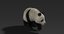 3D giant panda fur rigged