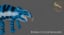 panther furcifer pardalis 3D