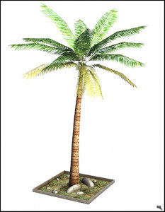 palm tree model