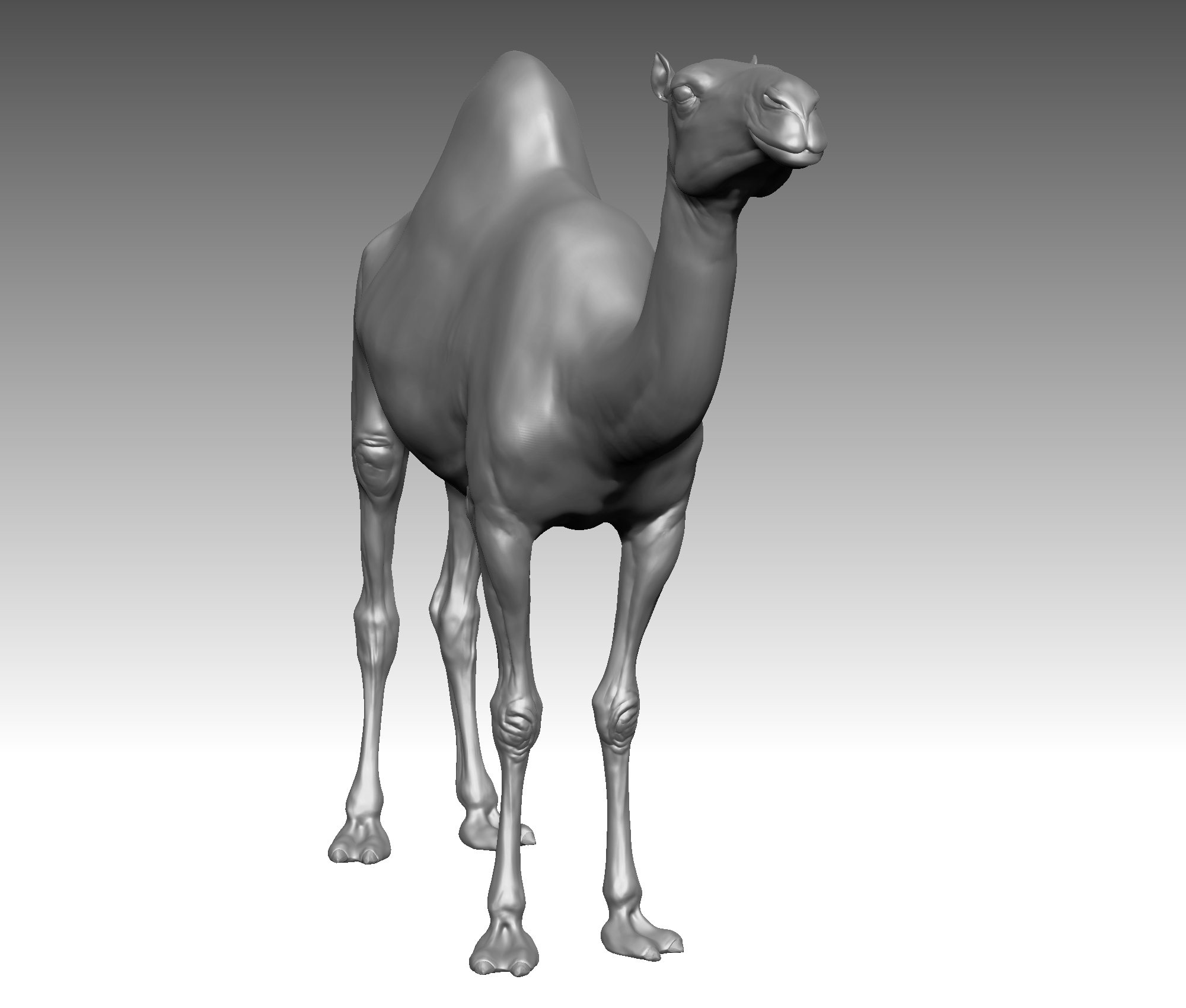 骆驼现实(1)3d模型