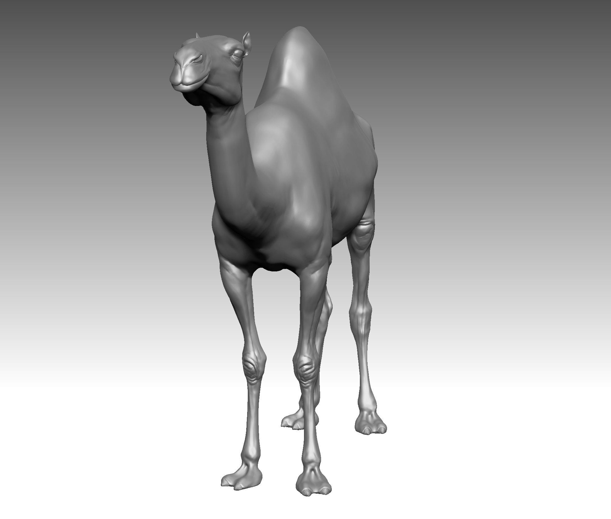 骆驼现实(1)3d模型