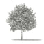 volume 76 trees x 3D model