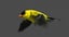 american goldfinch animation 3D model