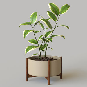 plant pot 3D