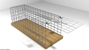 cages trap 3D model