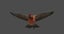 3D house finch animation