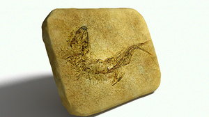 3D fossil stone fish