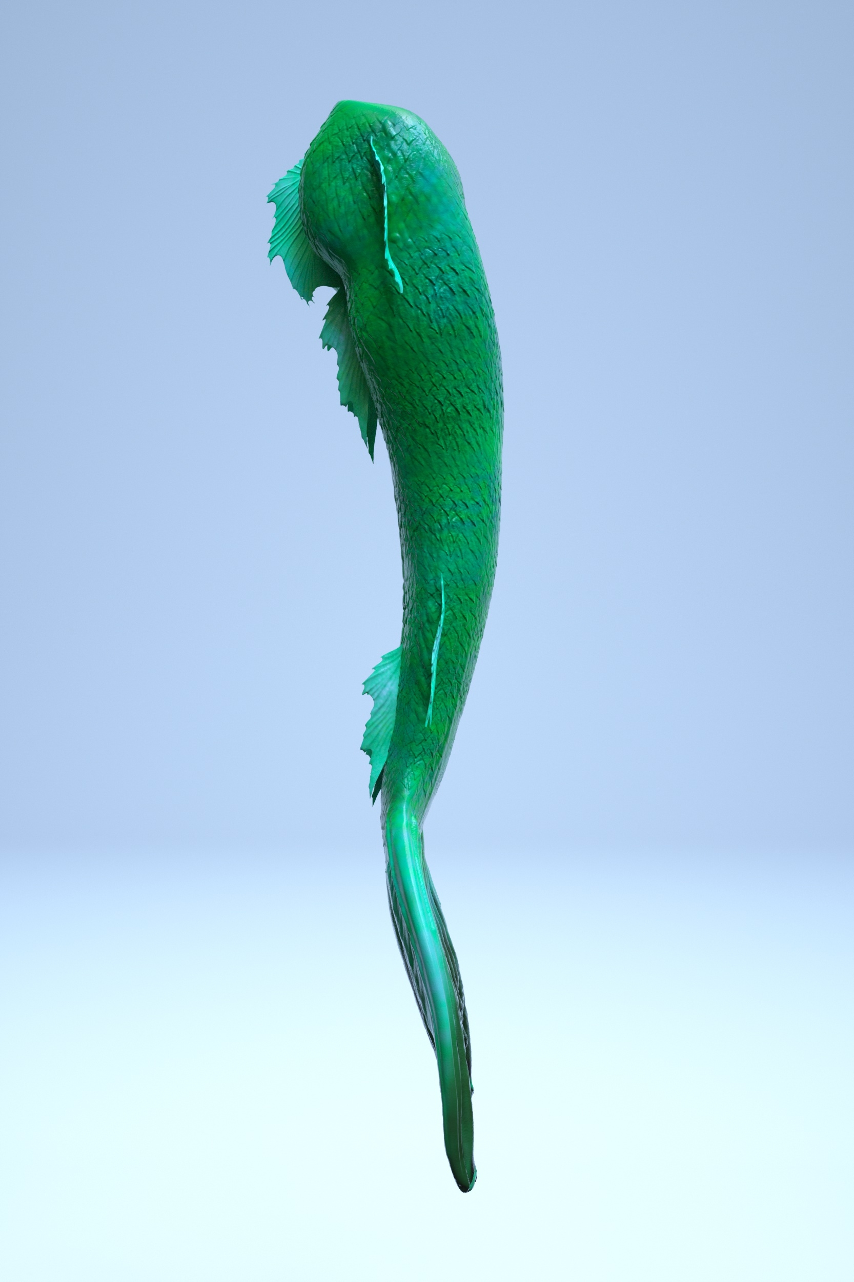 mermaid-tail-3d-model-turbosquid-1180682