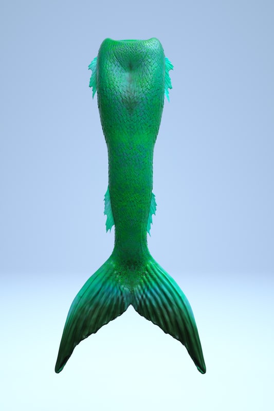 Mermaid tail 3D model TurboSquid 1180682