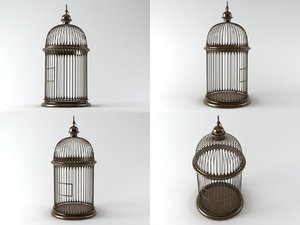 3D birdcage n