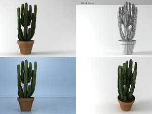 Free Plants 3d Models For Download Turbosquid