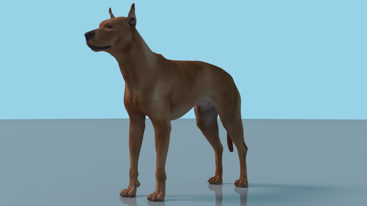 rigged dog 3d model for blender free download