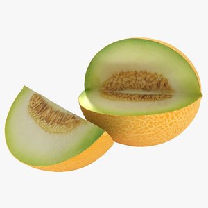 realistic melon 3D