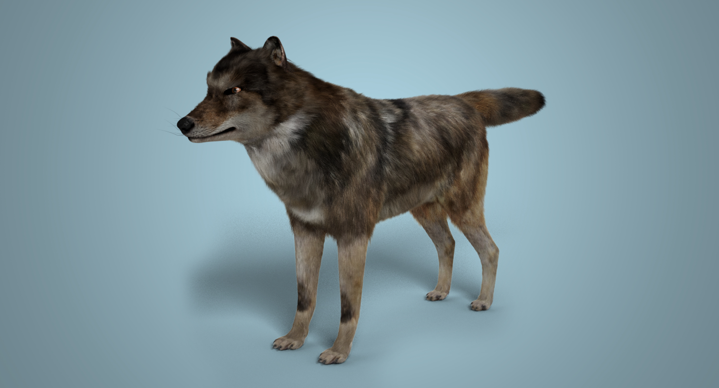 blender 3d wolf model download
