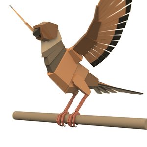 boxy bird rig model