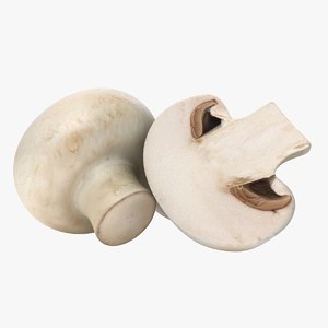 button mushroom champignon 3D model