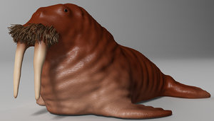 3D model walrus rigged