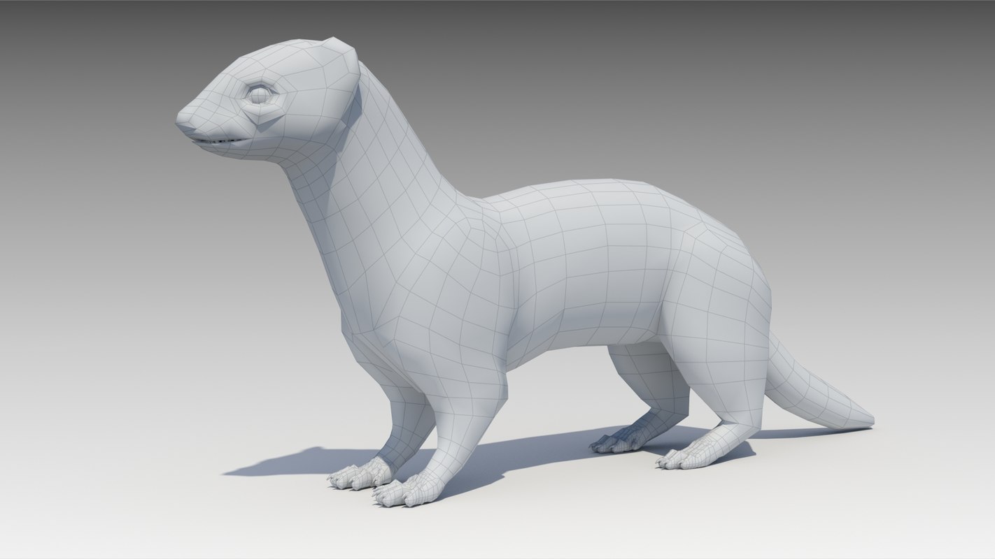 3d Weasel Model Turbosquid 1184225