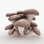 mushrooms 03 3D