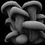 mushrooms 03 3D