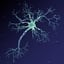 neuron synapses receptors 3D model