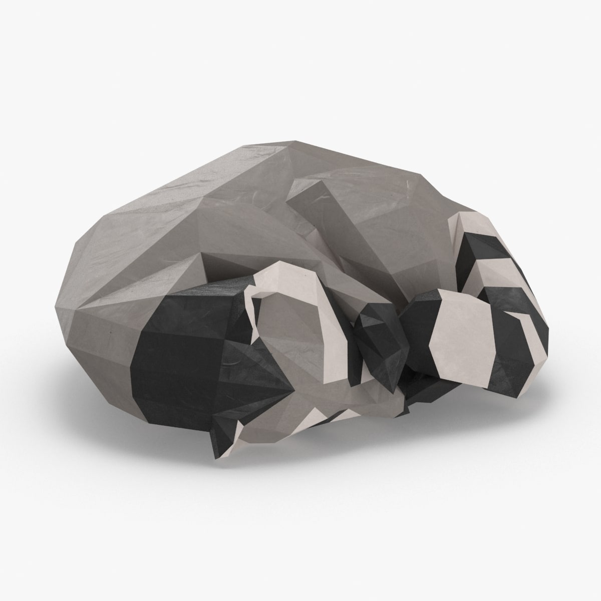 Low Poly Raccoon 3D Models for Download | TurboSquid