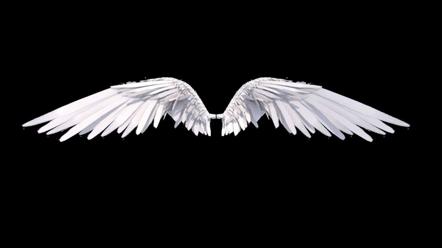 Free angel wings 3d model