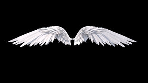 wings angel rigged 3D model