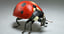 ladybug fur ornatrix 2 3D model