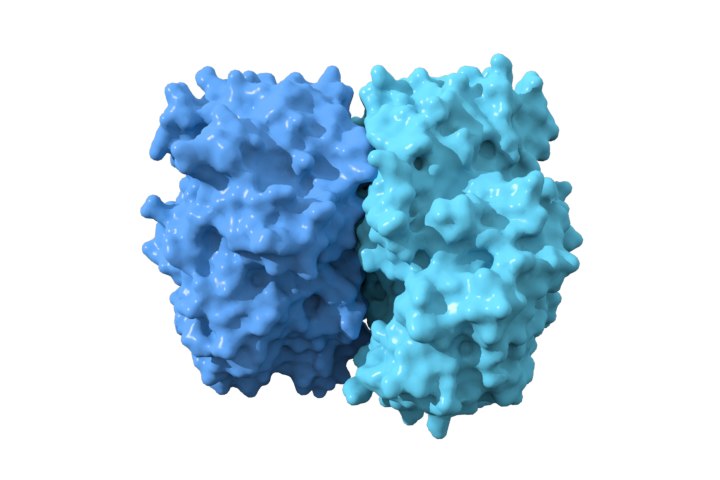 3D glucose oxidase model - TurboSquid 1186337