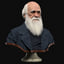 3D charles darwin model