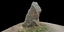 granite rock 3D model
