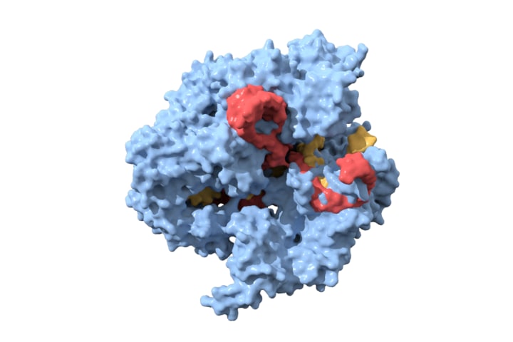 Crispr cas9 3D - TurboSquid 1187179