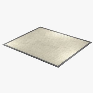 rug rectangular sisal 3D