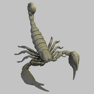 3D scorpion pandinus imperator model