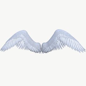 3D angel wing